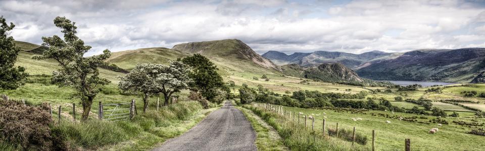 Road, trees, mountains, Lake District National Park, Cumbria, UK wallpaper