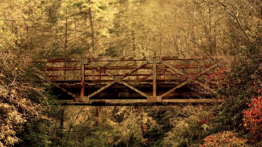 锈桥遗弃荒废的树高清壁纸