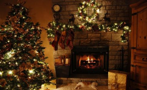 树，圣诞节，度假，壁炉，花环，猫，礼物，壁纸