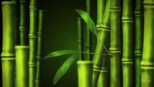 竹所以绿色壁纸