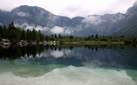 波希涅湖，斯洛文尼亚，树，山，云壁纸