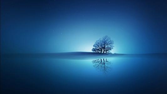 树，反射，蓝色，自然壁纸