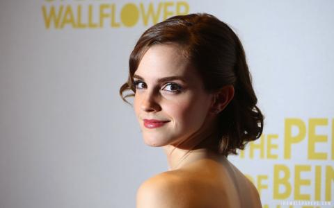 艾玛·沃特森（Emma Watson）作为壁花壁纸的作品