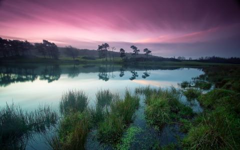 黄昏之美，宁静的湖泊，绿树，紫色的天空壁纸