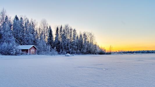 冬天，日落，弗罗斯特，树木，必胜客，风景壁纸