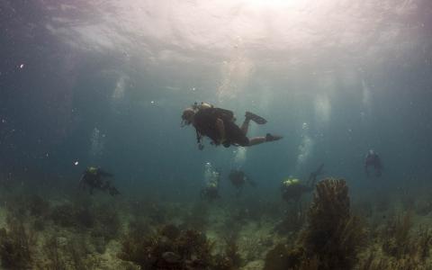 潜水员水底海洋高清壁纸