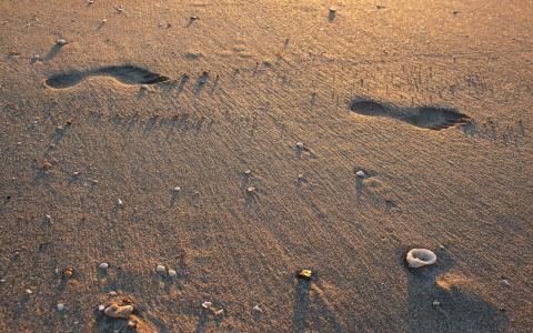 沙滩足迹沙影高清壁纸
