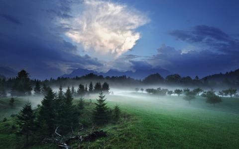 自然，云，树木，草，雾，森林壁纸