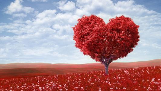 红色的心爱树壁纸