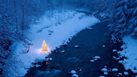 由美妙的河壁纸的小圣诞树