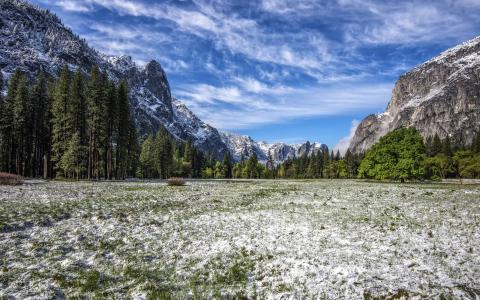 美国加利福尼亚州的优胜美地山谷，山，树，雪，蓝色的天空壁纸