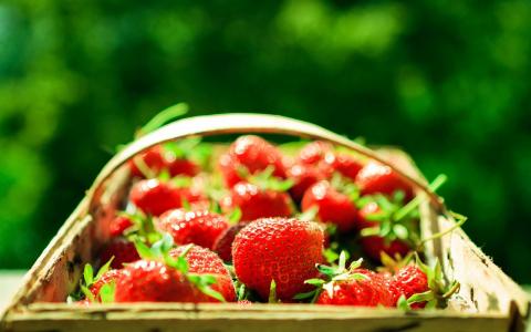 红色的草莓，新鲜的水果，篮子，光壁纸