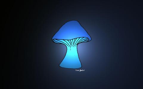 蓝蘑菇壁纸