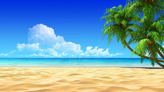 云，沙，棕榈树，海滩，天空，风景壁纸