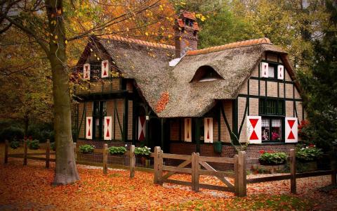 秋天，房子，树木，红叶，篱笆壁纸