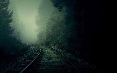 铁路，树木，森林，雾壁纸