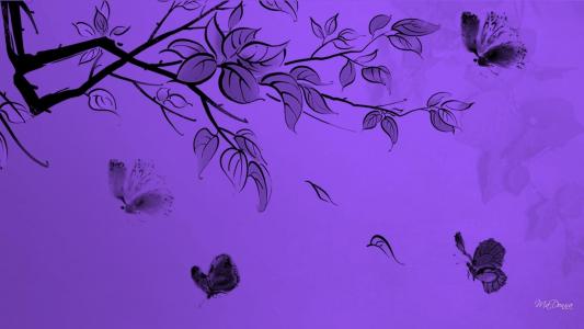 紫色蝴蝶壁纸