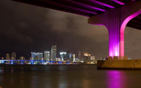 迈阿密桥夜景霓虹灯壁纸