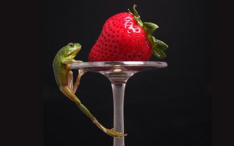 青蛙草莓For Android壁纸