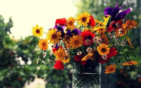 花瓶，鲜花，花卉壁纸