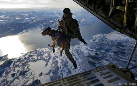 Jagdkommando从在挪威壁纸嗅探狗10,000英尺下降