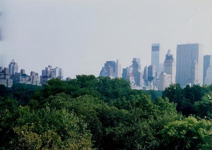 中央公园，曼哈顿，纽约市壁纸