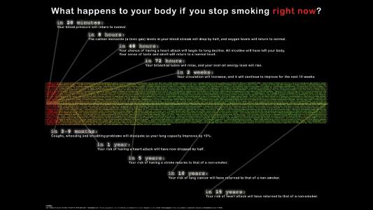 如果你现在戒烟，你的身体会怎么样？高清壁纸