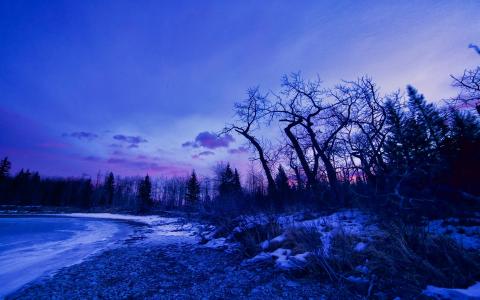冬天，黎明，发光，树木，雪，湖壁纸
