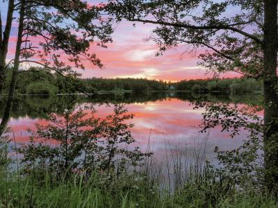 早晨的自然风光，湖泊，水中倒影，树、纳卡瑞典壁纸