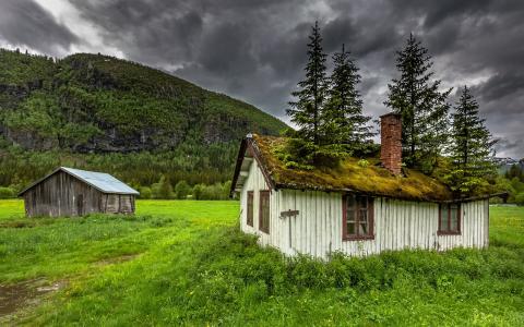 海姆瑟达尔，挪威，房子，苔藓，树，草，山，云壁纸