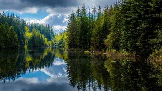 加拿大，不列颠哥伦比亚省，湖，树木，春天，反射壁纸