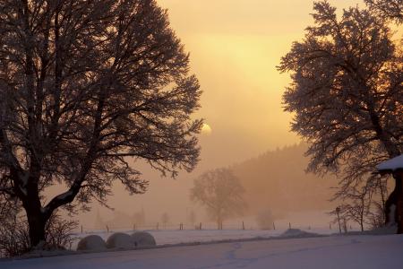 冬天的黎明在农场的壁纸上