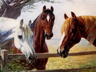 3马油漆动物软管漂亮的画高清壁纸
