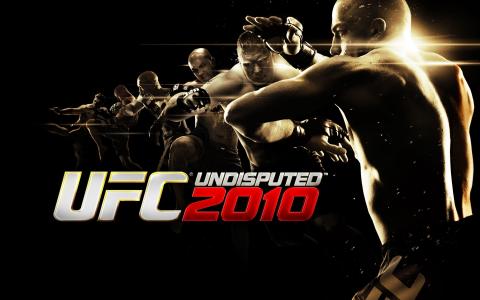 UFC无可争议的2010年壁纸