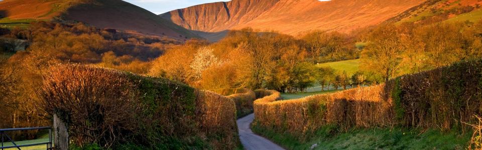Trees, road, mountains, Brecon Beacons, Wales, UK wallpaper
