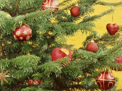 圣诞节，新的一年，枞树，属性，领域，红色，饰品，心壁纸