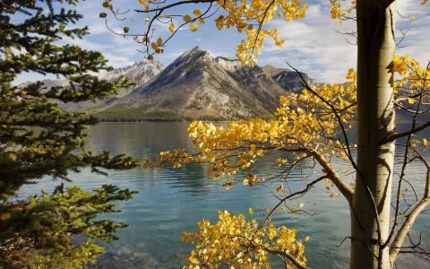 Mountains，湖泊，树木，树叶，秋天壁纸
