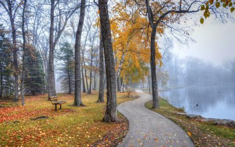 公园景观，走道，树木，长椅，湖，秋季壁纸