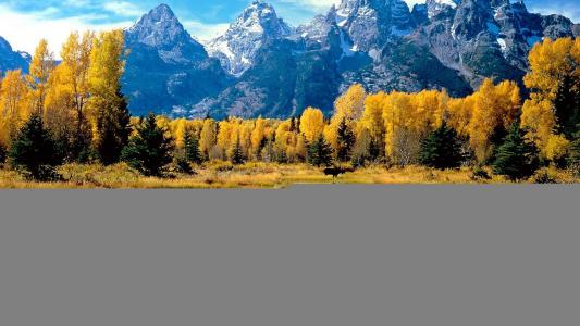 景观秋季赛季森林怀俄明州大提顿国家公园湖泊思考照片壁纸