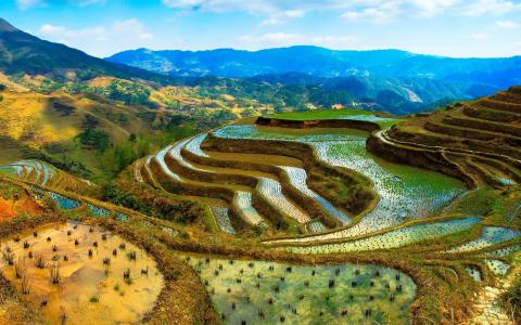 中国，梯田，水，山，美丽的风景壁纸