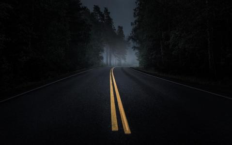 道路，雾，黑暗，沥青，晚上，松树，森林壁纸