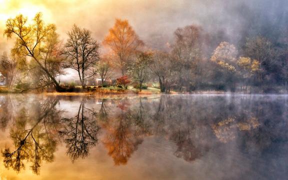 秋天美丽的雾风景壁纸