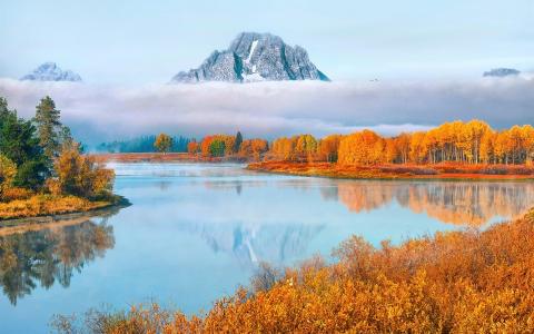 美国，怀俄明州，大提顿国家公园，树木，雾，秋季壁纸