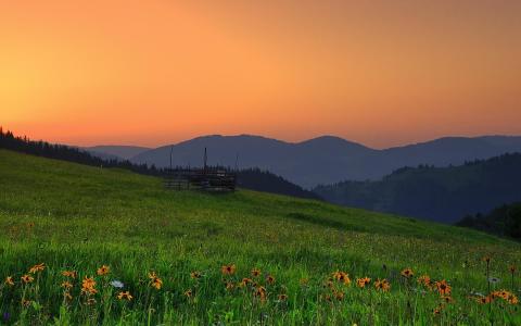 罗马尼亚山日落场鲜花风景照片壁纸