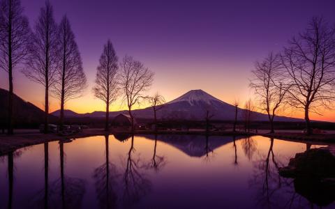 日本，本州，火山，富士山，早上，水，倒影壁纸