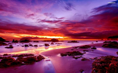 岩石海滩的紫色日落壁纸