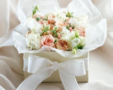 白玫瑰鲜花高清壁纸