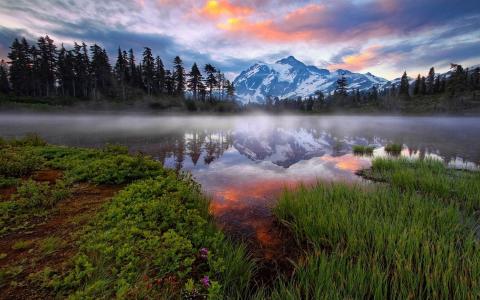 自然，雾，山，湖，森林，日出，华盛顿州，反射，雪峰壁纸