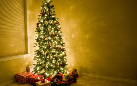 圣诞树美丽的壁纸