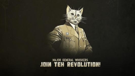 动物猫幽默搞笑制服声明伟大小猫军事革命杂志壁纸